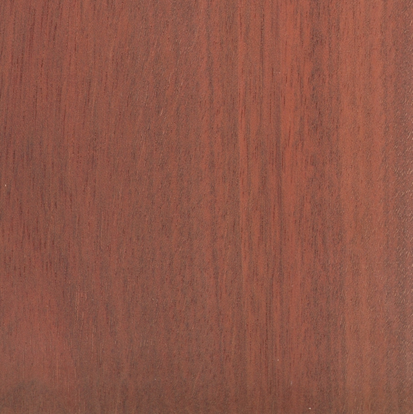 Bloodwood (Brosimum rubescens)