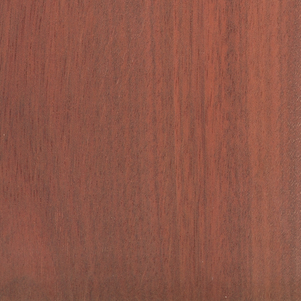 Bloodwood (Brosimum rubescens)