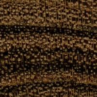 Bocote (endgrain 10x)