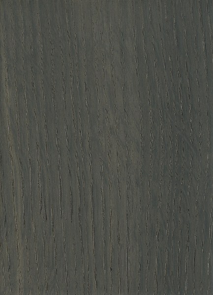 Bog Oak (sanded)