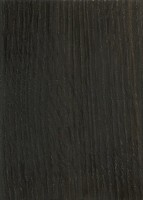 Bog Oak (sealed)