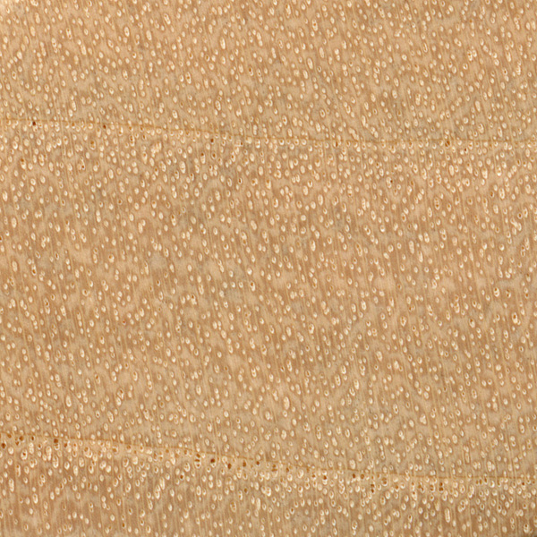 Box Elder The Wood Database Lumber Identification (Hardwood)