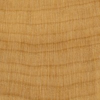 Boxwood (endgrain 10x)