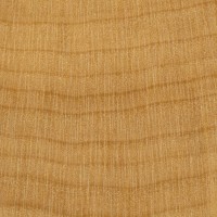 Boxwood (endgrain 10x)
