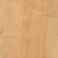 Boxwood (sealed)