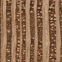 Lacewood (endgrain 10x)