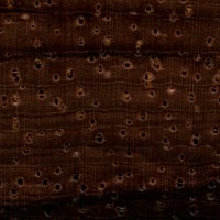 Brazilian Rosewood (endgrain 10x)