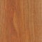 Brazilwood (Caesalpinia echinata)