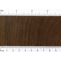 Brown Ebony (endgrain)