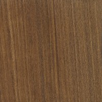 Texas Ebony  The Wood Database (Hardwood)