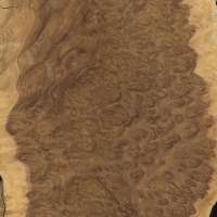 Brown Mallee burl (sealed)