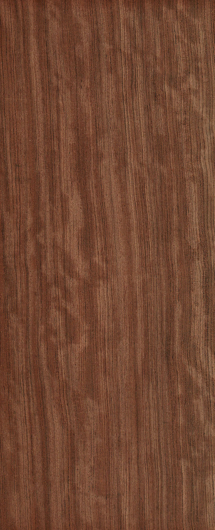 Bubinga | The Wood Database - Lumber Identification (Hardwood)