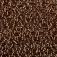 Bulletwood (endgrain 10x)