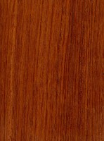 Burma Padauk (sealed)