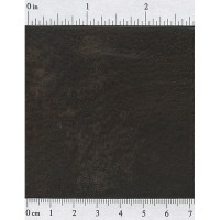 Burmese Blackwood (endgrain)