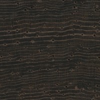 Burmese Blackwood (endgrain 10x)