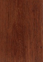 Burmese Rosewood (Dalbergia oliveri)