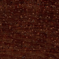 Burmese Rosewood (endgrain 10x)