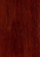 Burmese Rosewood (sealed)