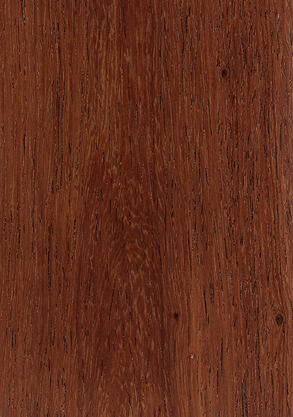 Burmese Rosewood (Dalbergia olivera)