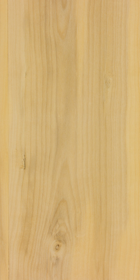 6-in x 25-ft Red Oak Veneer Edging in the Wood Veneer department at