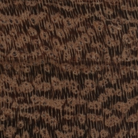 Camelthorn (endgrain 10x)