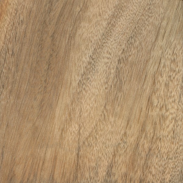 Camphor | The Wood Database (Hardwood)