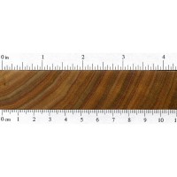 Canarywood (endgrain)