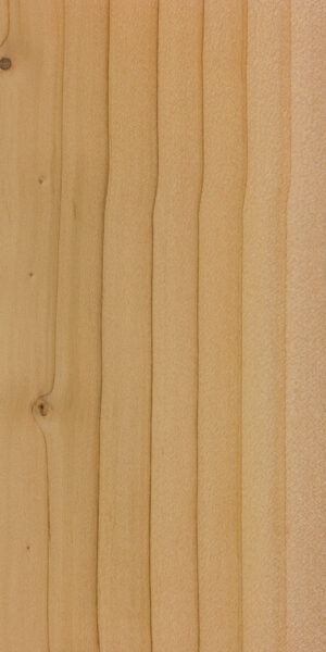 Atlas Cedar | The Wood Database (Softwood)