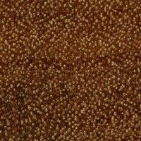Chakte Viga (endgrain 10x)