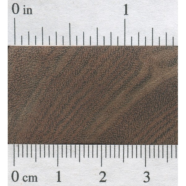 Chechen The Wood Database Lumber Identification (Hardwood)