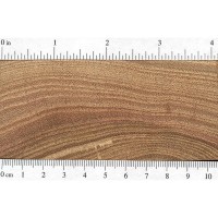 Chinaberry (endgrain)