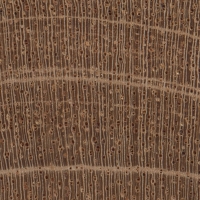 Cuban Mahogany (endgrain 10x)