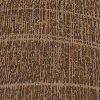 Cuban Mahogany | The Wood Database (Hardwood)
