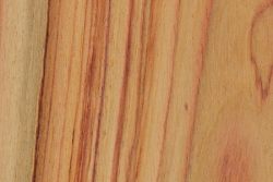 Texas Ebony  The Wood Database (Hardwood)