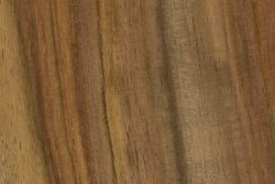 Bois de Rose  The Wood Database (Hardwood)