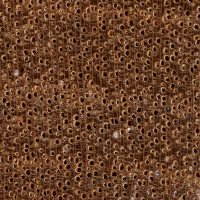 Dark Red Meranti (endgrain 10x)