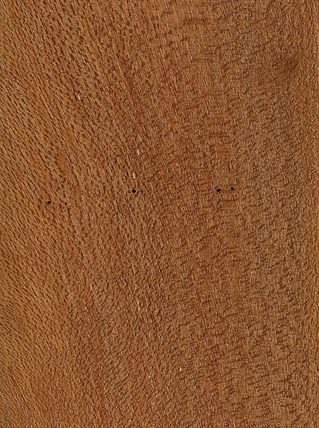 Dark Red Meranti | The Wood Database - Lumber Identification (Hardwood)