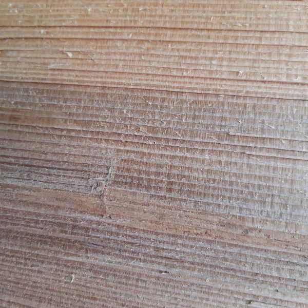 Black Spruce The Wood Database Lumber Identification (Softwood)