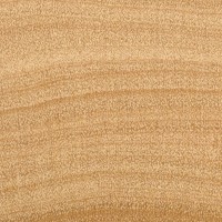 Lemonwood (endgrain 10x)