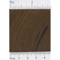 Desert Ironwood (endgrain)