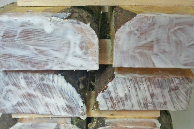 Red Oak Quarter Sawn boards lumber 3/8 surface 4 sides 24" 