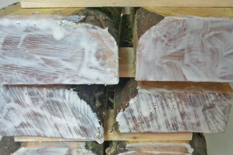 Bois de Rose  The Wood Database (Hardwood)