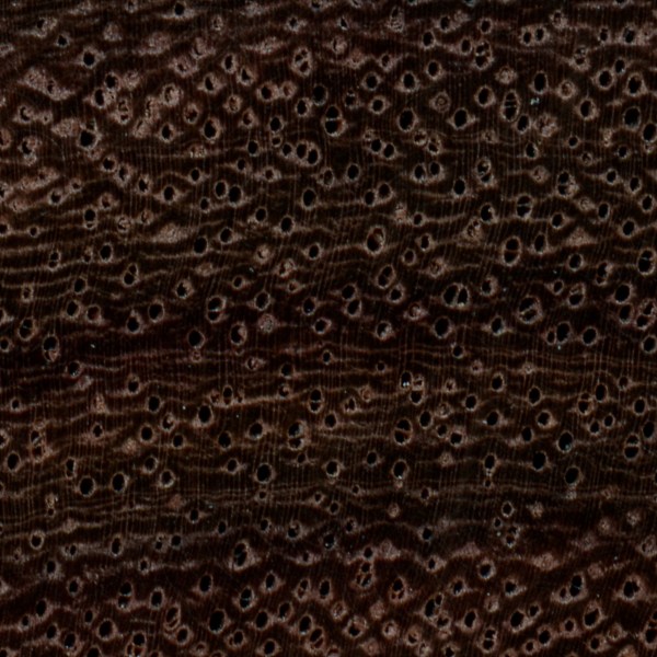 east-indian-rosewood-endgrain-zoom.jpg