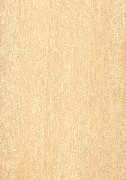 White wood lumber