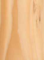 Eastern Hemlock (sealed)