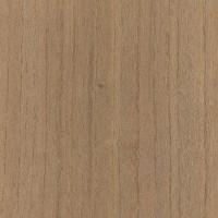 English Elm (veneer)