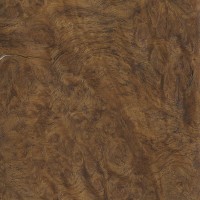 English Oak (burl veneer)