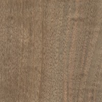 Abbildung des Materials 'English Walnut'