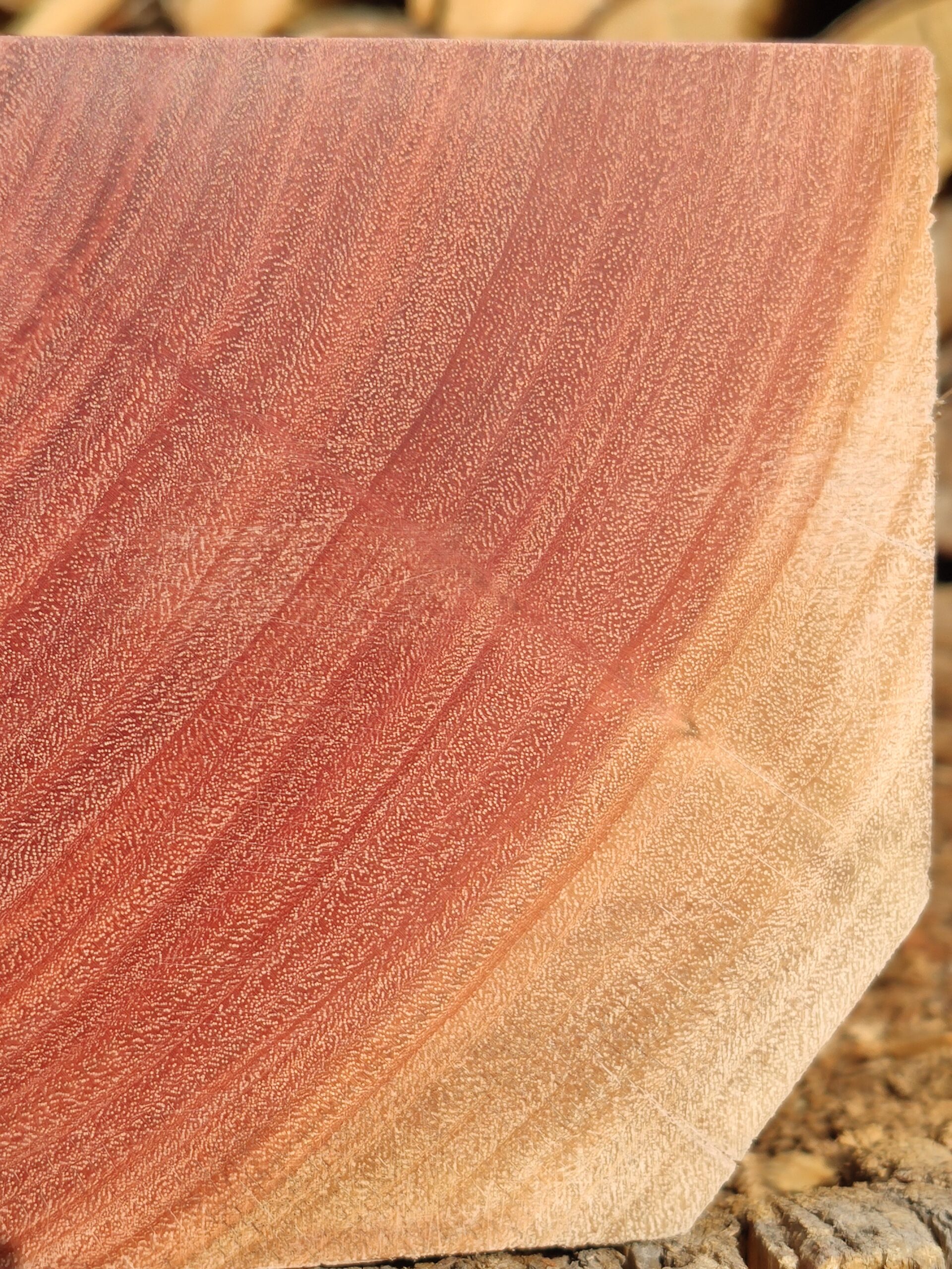 Flooded Gum (Rose Gum) Timber Flooring - Abbey Timber